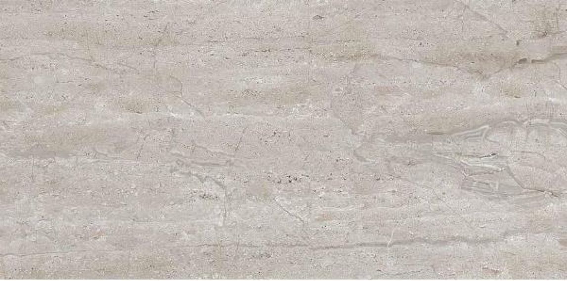 Dianox Grey Glossy 60x120