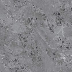 Dicios Grey Glossy 60x60