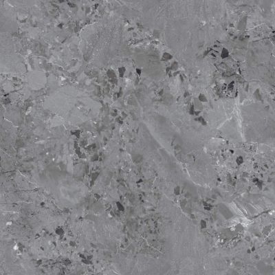Dicios Grey Glossy 60x60