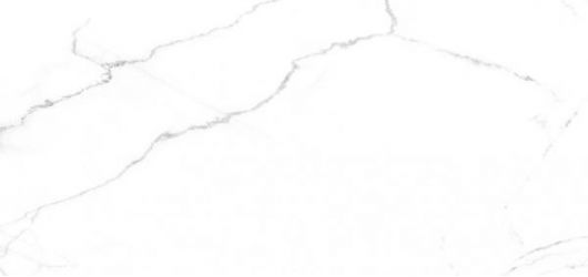 Discovery Blanco 60х119,5