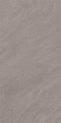 Dolphin Full Body Glossy 60x120