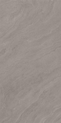 Dolphin Full Body Glossy 60x120