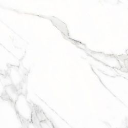 Doney-R Blanco Pulido 119.3x119.3