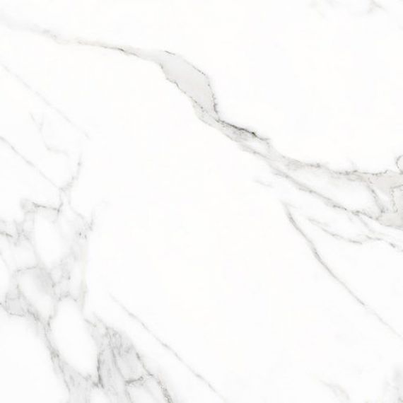 Doney-R Blanco Pulido 119.3x119.3