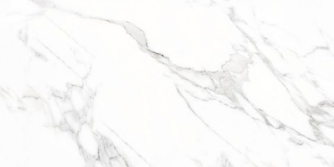 Doney-R Blanco Pulido 59.3x119.3