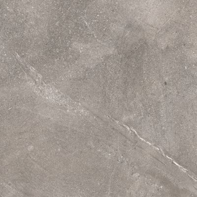Dosimo Grey серый 60х60