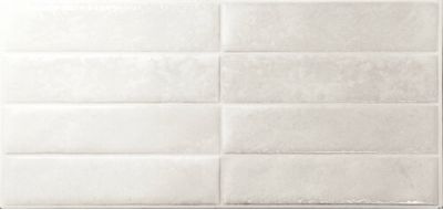 Dream White 30x60