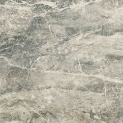 Dune Gris brillo 60,8x60,8