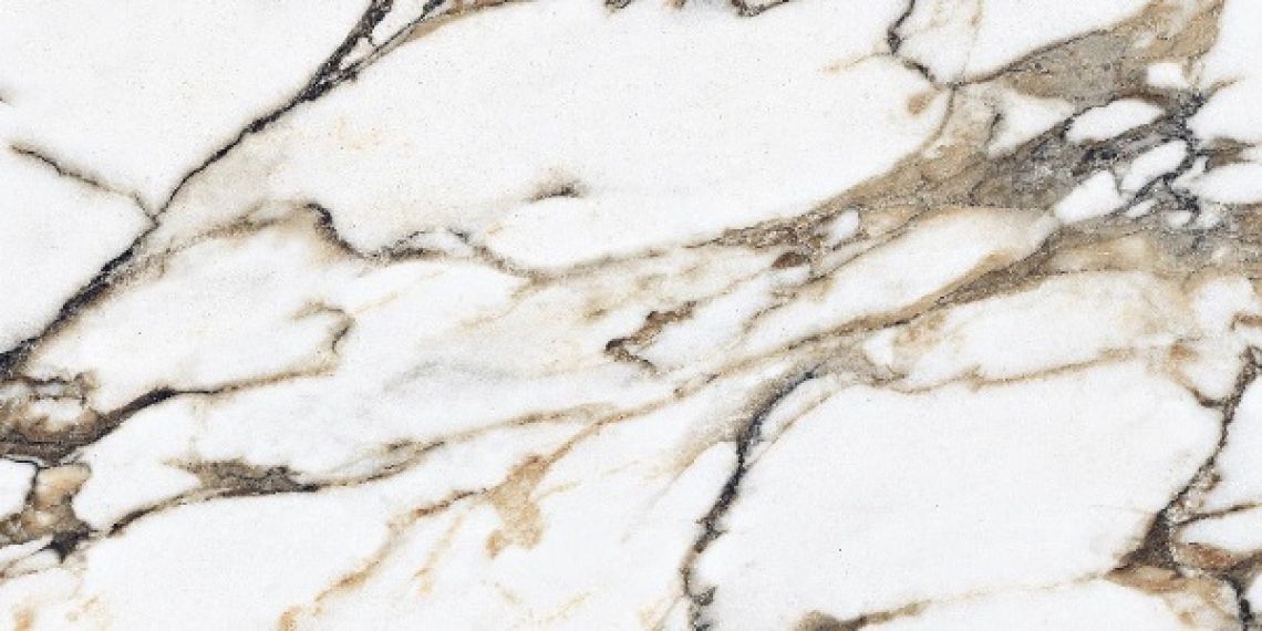 E-13097 POLISHED 60x120