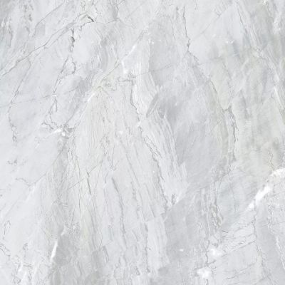 E-3021/MR Genio Светло-серый ректификат 600x600x9