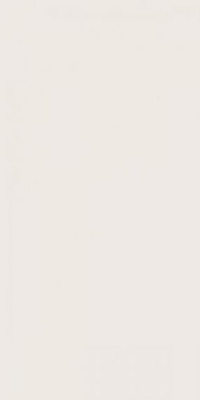 E829(D726) 4D Plain White Matt 40х80