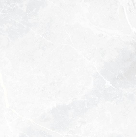 EARTHSTONE White br rett 60x60