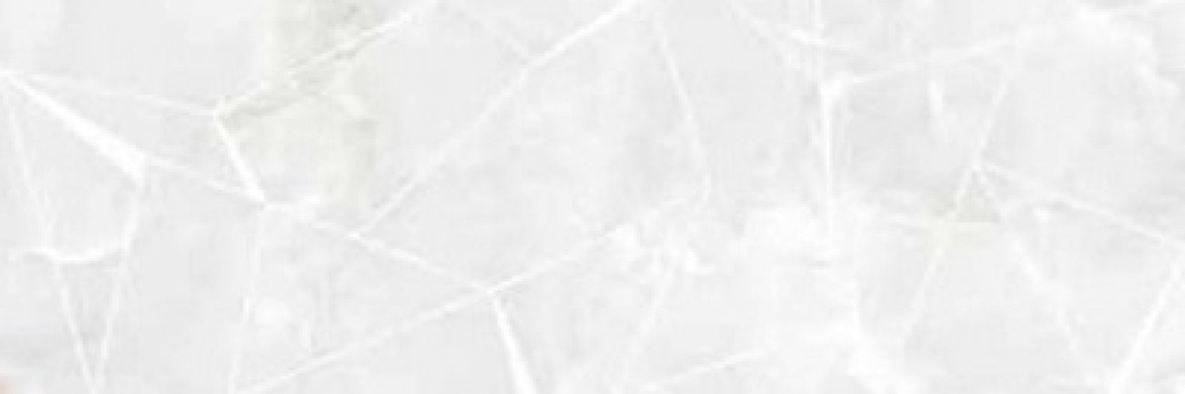 EC. DC. Eternal white 33.3x100