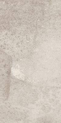 EE01 Seed Light Grey Неполированный 30,6x60,9x8