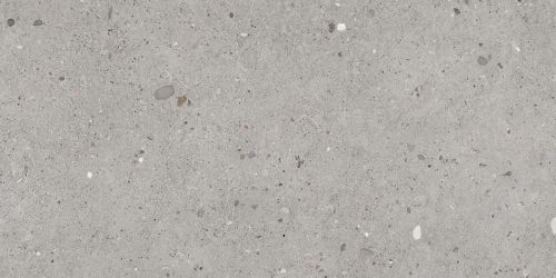 EGP1 Керамогранит Ego Grigio Nat Rett 60x120
