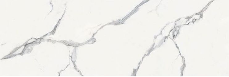 ELITE STATUARIO Polished 240x80