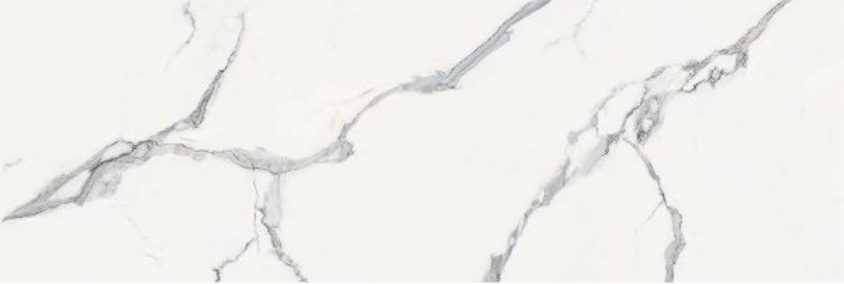 ELITE STATUARIO Polished 240x80