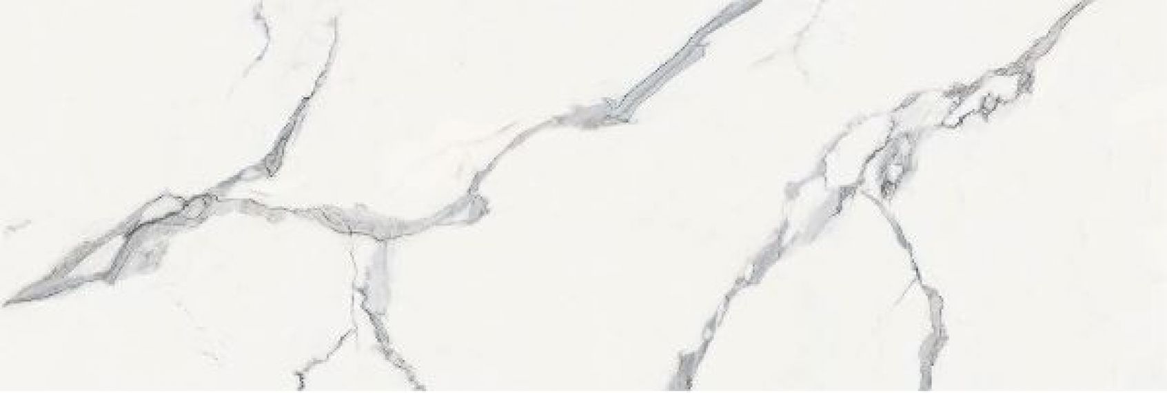 ELITE STATUARIO Polished 240x80