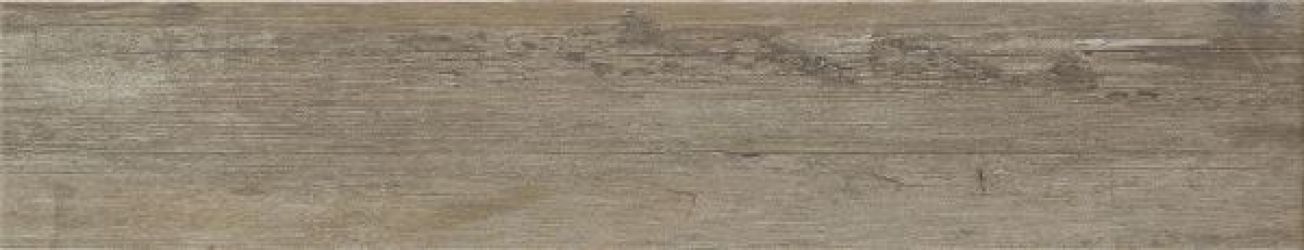 ENDOR MOSS 23*120