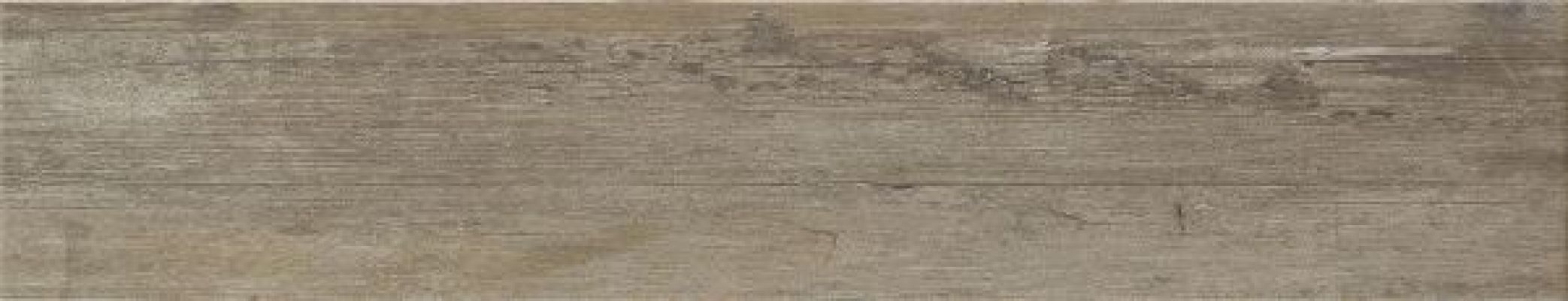 ENDOR MOSS 23*120