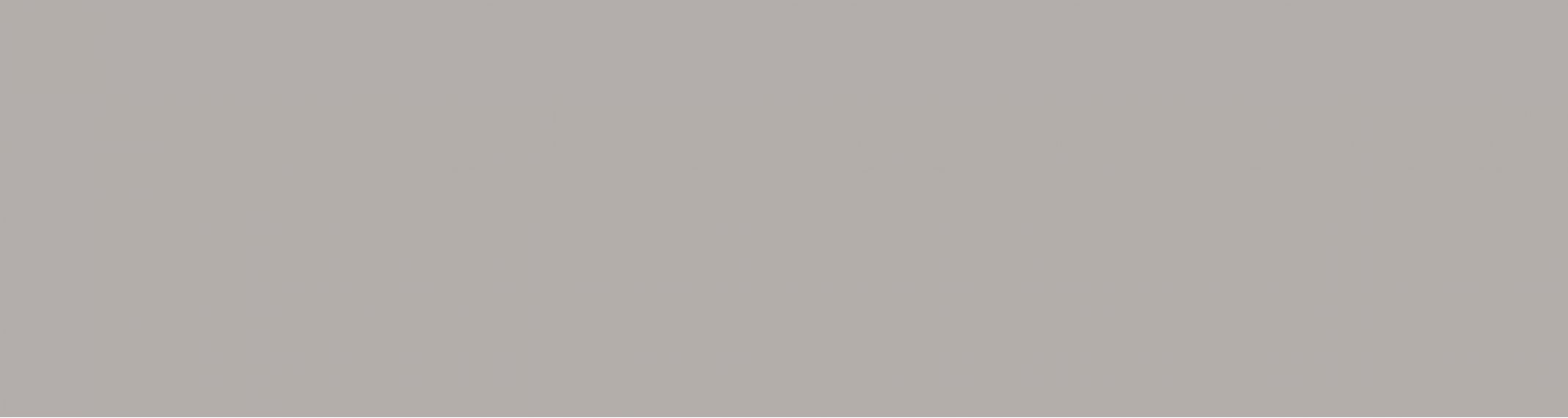 ENMON3009MT80300 Керамогранит Colorblend Grey Matt 800х3000х15