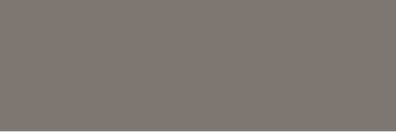 ESSENZIALE GRAY NAT. 3+mm 100x300