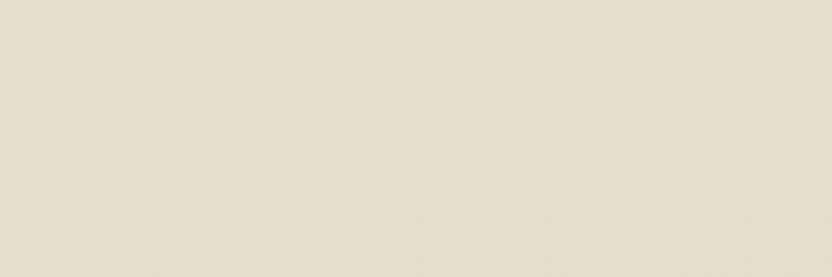 ESSENZIALE LINEN NAT. 3+mm 100x300