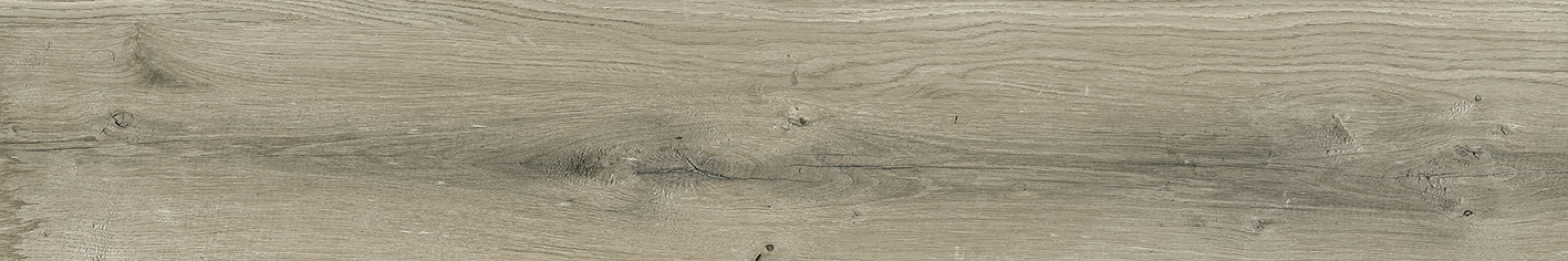 ETERNAL OLIVO 20x120