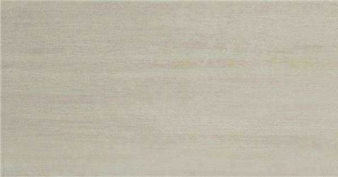 EVOLVE BEIGE MT RECT. 60x120