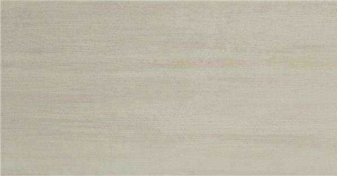 EVOLVE BEIGE MT RECT. 60x120