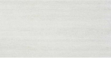 EVOLVE PEARL MT RECT. 60x120