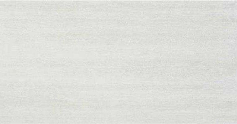 EVOLVE PEARL MT RECT. 60x120