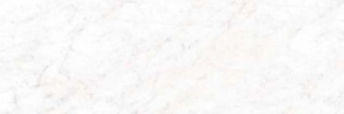 EXEDRA TILES GLOSSY ALBIS 300x100
