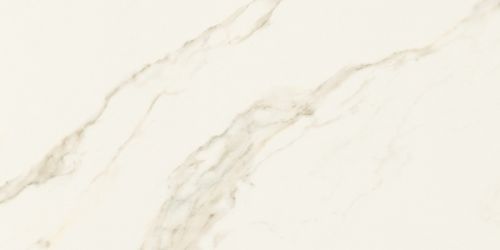 EXEDRA TILES GLOSSY CALACATTA 50x100