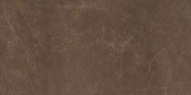 EXEDRA TILES SILK PULPIS 50х100