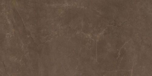 EXEDRA TILES SILK PULPIS 50х100