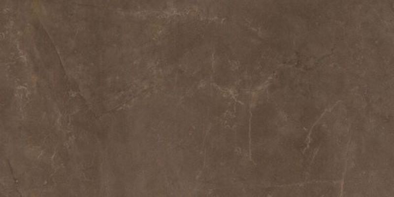 EXEDRA TILES SILK PULPIS 50х100