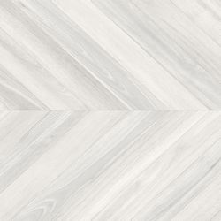 Ebony gris 60x60