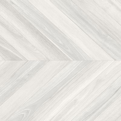 Ebony gris 60x60