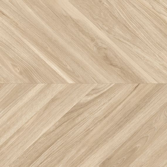 Ebony haya 60x60