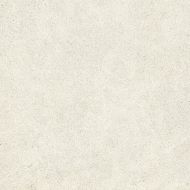 Eclettica Silk Rett Bianco 60x60