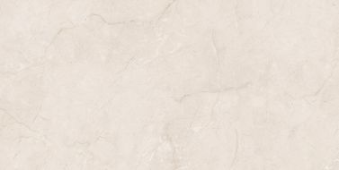 Eco 6523 Polished 60x120