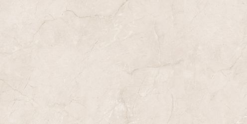 Eco 6523 Polished 60x120