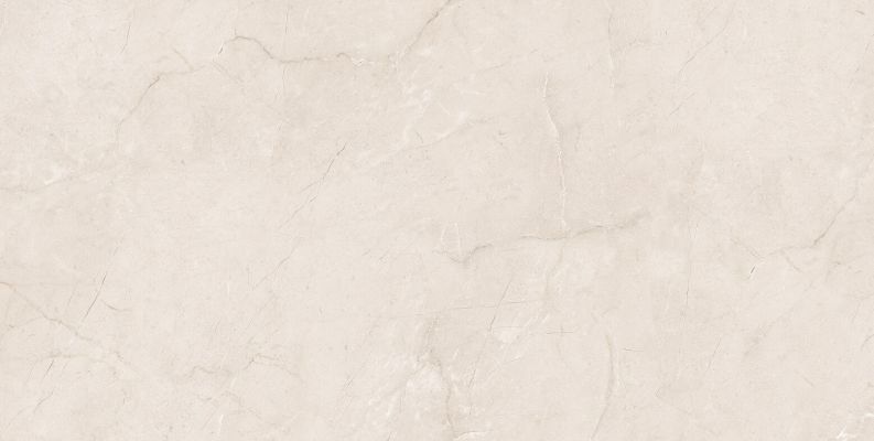 Eco 6523 Polished 60x120