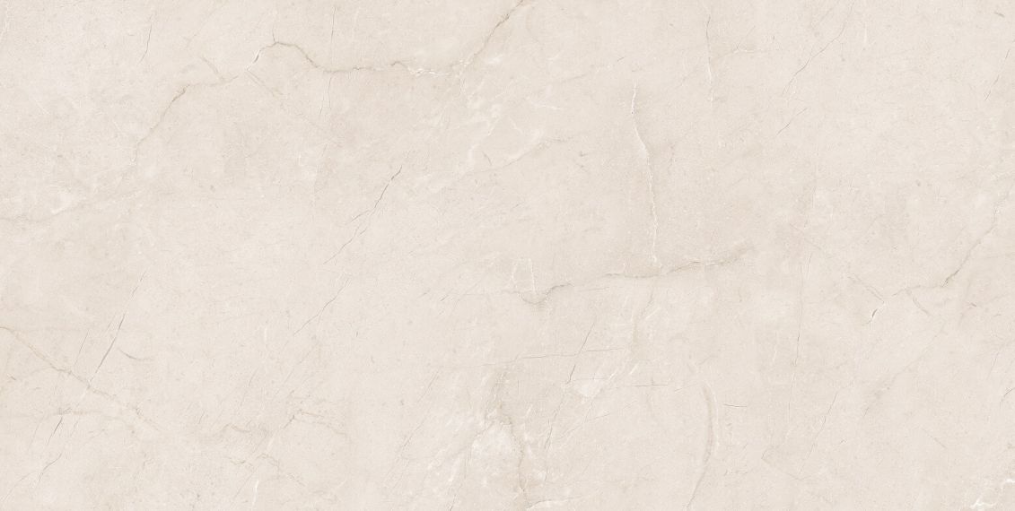 Eco 6523 Polished 60x120