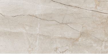 Eco 6536 Polished 60x120