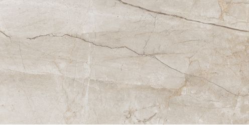 Eco 6536 Polished 60x120
