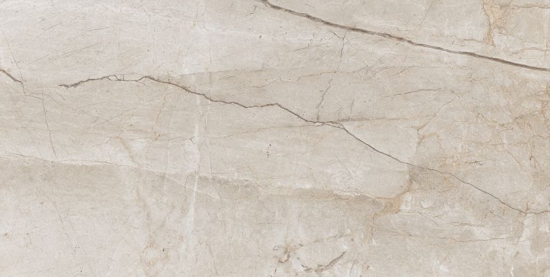 Eco 6536 Polished 60x120