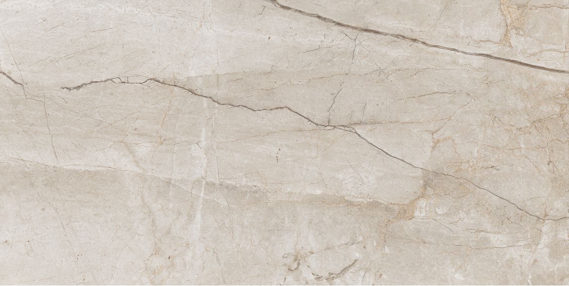 Eco 6536 Polished 60x120