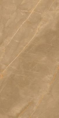 Eco Marble Royalish Brown 120x60